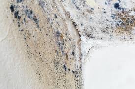 Best Residential Mold Inspection & Testing  in USA